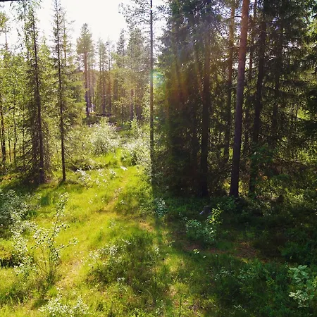 Maentyrinne Domek alpejski