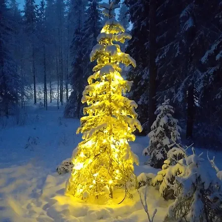 Maentyrinne Domek alpejski