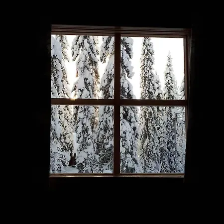 Maentyrinne * Syöte