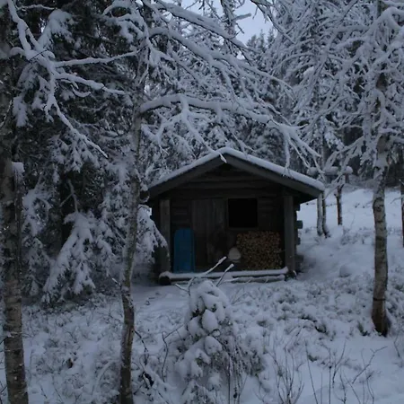 Domek alpejski Maentyrinne *