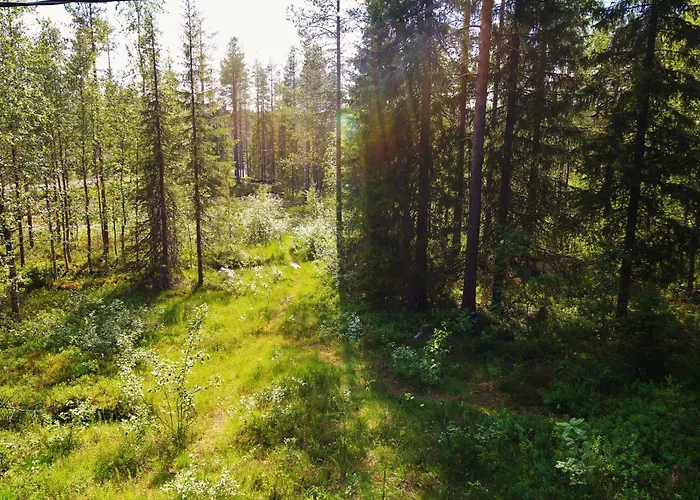 Maentyrinne Шале