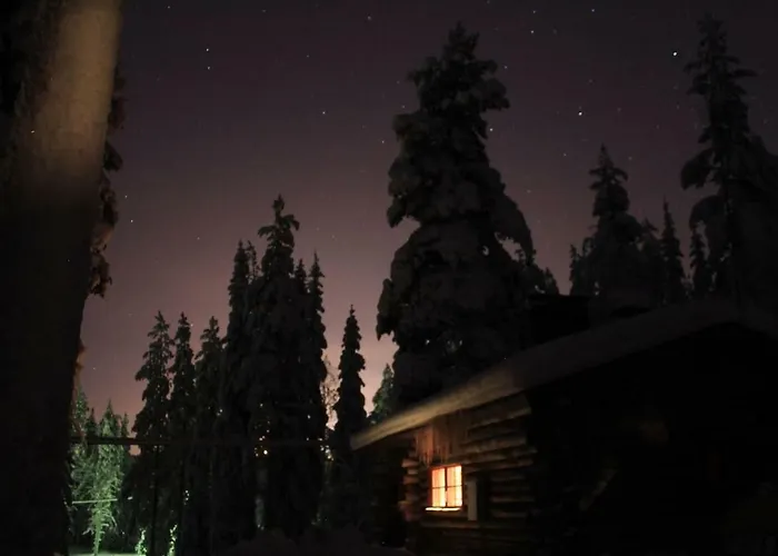 Maentyrinne Шале