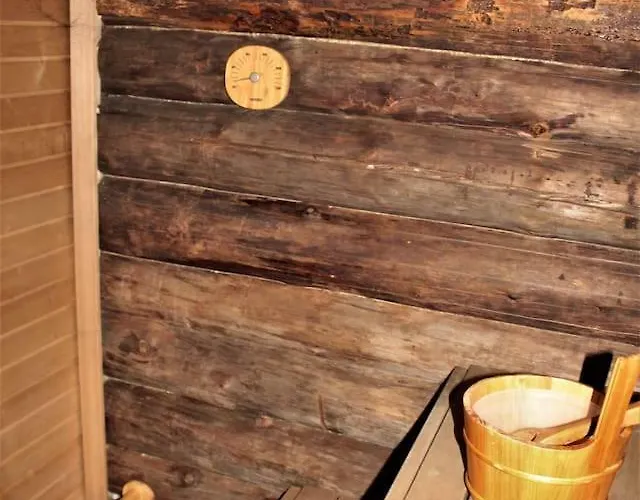 Шале Maentyrinne