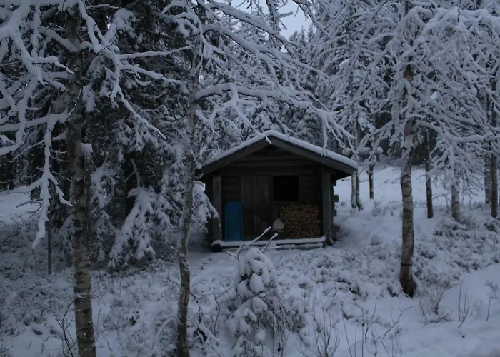 Шале Maentyrinne *